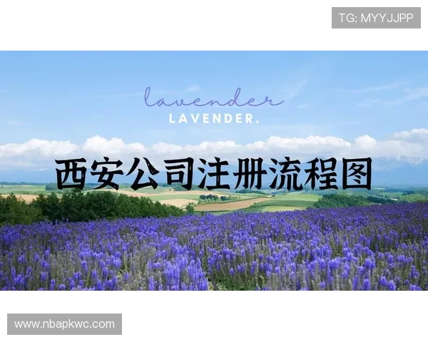 选择必赢注册中心让您的公司注册流程更加高效便捷